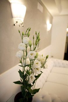 Le Viole Apart-hotel Rimini